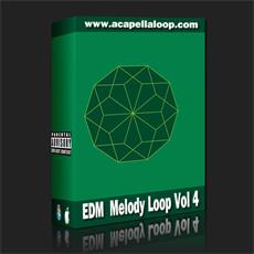 旋律素材/EDM Melody Loop Vol 4